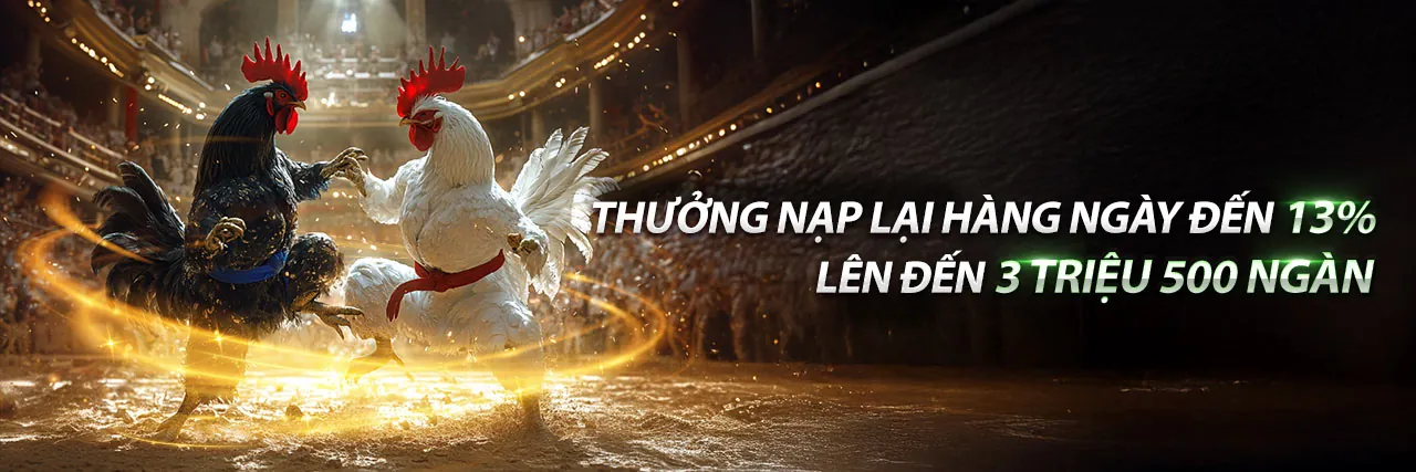 Tin tức đá gà thôm mới nhất